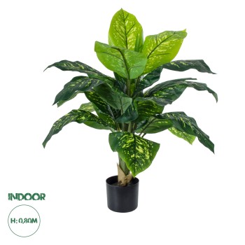 GloboStar® Artificial Garden ROHDEA JAPONICA 20067 Τεχνητό Διακοσμητικό Φυτό Ιαπωνέζικη Ροδέα Υ80cm GloboStar® Artificial Garden ROHDEA JAPONICA 20067 Τεχνητό Διακοσμητικό Φυτό Ιαπωνέζικη Ροδέα Υ80cm