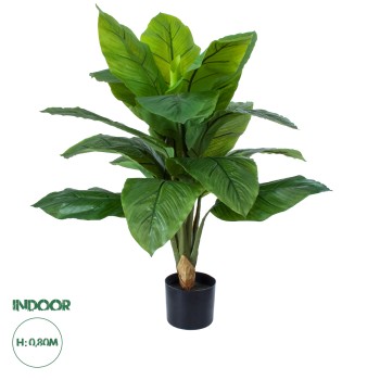 GloboStar® Artificial Garden ROHDEA JAPONICA 20068 Τεχνητό Διακοσμητικό Φυτό Ιαπωνέζικη Ροδέα Υ80cm GloboStar® Artificial Garden ROHDEA JAPONICA 20068 Τεχνητό Διακοσμητικό Φυτό Ιαπωνέζικη Ροδέα Υ80cm
