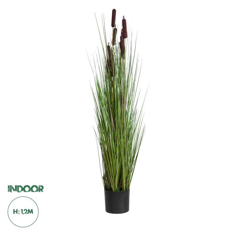 GloboStar® Artificial Garden TYPHA ANGUSTIFOLIA GRASS 20070 Τεχνητό Διακοσμητικό Φυτό Γρασίδι της Τύφας Υ120cm GloboStar® Artificial Garden TYPHA ANGUSTIFOLIA GRASS 20070 Τεχνητό Διακοσμητικό Φυτό Γρασίδι της Τύφας Υ120cm