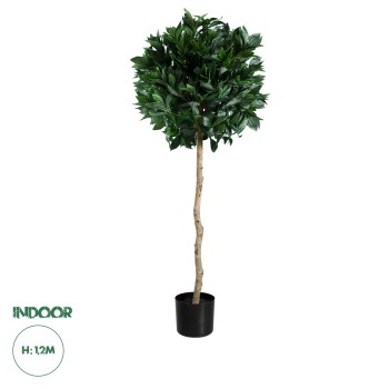 GloboStar® Artificial Garden LAUREL 20084 Τεχνητό Διακοσμητικό Φυτό Δάφνη Υ120cm GloboStar® Artificial Garden LAUREL 20084 Τεχνητό Διακοσμητικό Φυτό Δάφνη Υ120cm