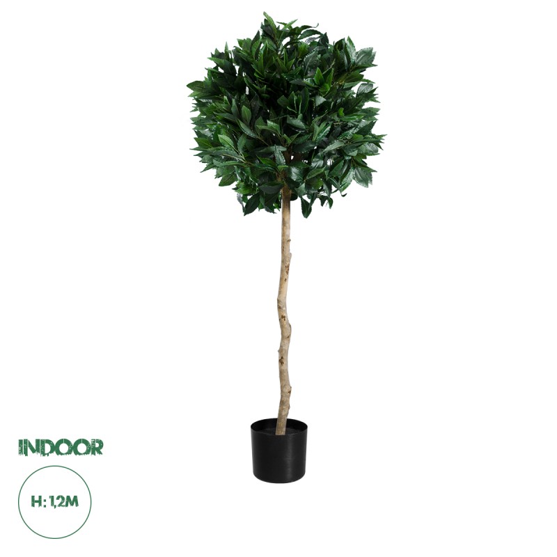 GloboStar® Artificial Garden LAUREL 20084 Τεχνητό Διακοσμητικό Φυτό Δάφνη Υ120cm GloboStar® Artificial Garden LAUREL 20084 Τεχνητό Διακοσμητικό Φυτό Δάφνη Υ120cm