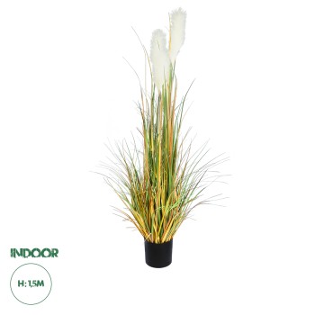 GloboStar® Artificial Garden PAMPAS GRASS 20105 Τεχνητό Διακοσμητικό Φυτό Γρασίδι της Πάμπας Υ150cm GloboStar® Artificial Garden PAMPAS GRASS 20105 Τεχνητό Διακοσμητικό Φυτό Γρασίδι της Πάμπας Υ150cm