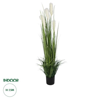 GloboStar® Artificial Garden PAMPAS GRASS 20106 Τεχνητό Διακοσμητικό Φυτό Γρασίδι της Πάμπας Υ150cm GloboStar® Artificial Garden PAMPAS GRASS 20106 Τεχνητό Διακοσμητικό Φυτό Γρασίδι της Πάμπας Υ150cm