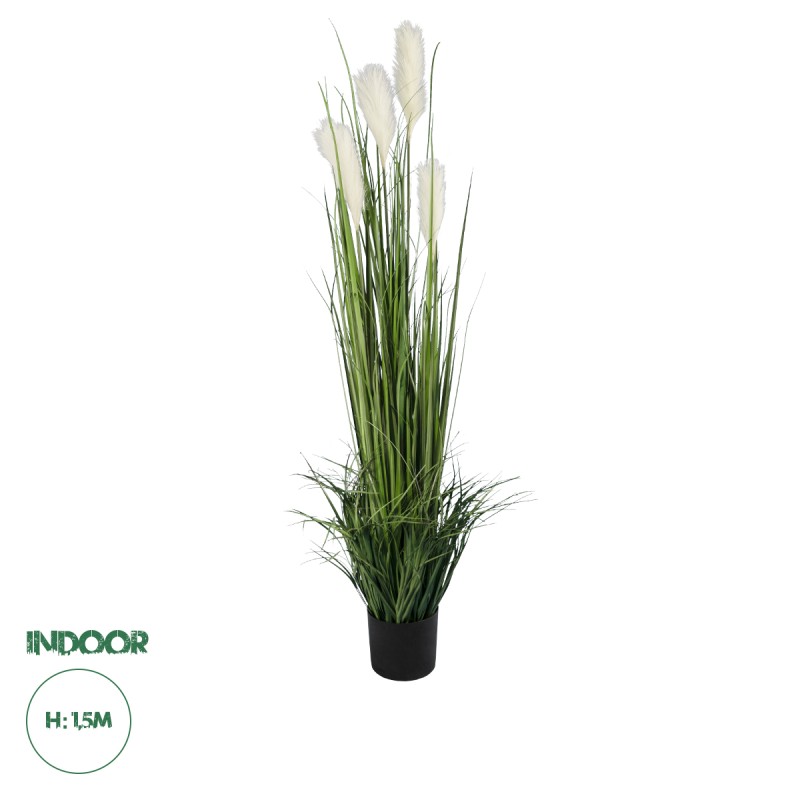 GloboStar® Artificial Garden PAMPAS GRASS 20106 Τεχνητό Διακοσμητικό Φυτό Γρασίδι της Πάμπας Υ150cm GloboStar® Artificial Garden PAMPAS GRASS 20106 Τεχνητό Διακοσμητικό Φυτό Γρασίδι της Πάμπας Υ150cm