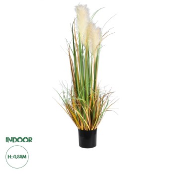 GloboStar® Artificial Garden PAMPAS GRASS 20107 Τεχνητό Διακοσμητικό Φυτό Γρασίδι της Πάμπας Υ88cm GloboStar® Artificial Garden PAMPAS GRASS 20107 Τεχνητό Διακοσμητικό Φυτό Γρασίδι της Πάμπας Υ88cm