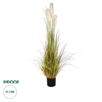 GloboStar® Artificial Garden PAMPAS GRASS 20108 Τεχνητό Διακοσμητικό Φυτό Γρασίδι της Πάμπας Υ150cm GloboStar® Artificial Garden PAMPAS GRASS 20108 Τεχνητό Διακοσμητικό Φυτό Γρασίδι της Πάμπας Υ150cm