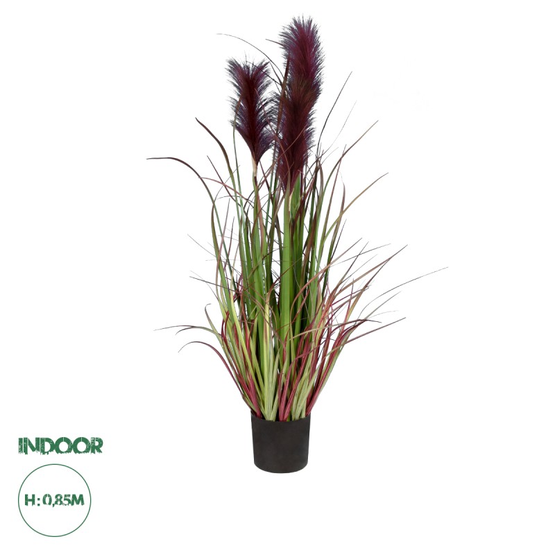 GloboStar® Artificial Garden BLOODY PAMPAS GRASS 20109 Τεχνητό Διακοσμητικό Φυτό Αιματόφυλλο Γρασίδι της Πάμπας Υ85cm GloboStar® Artificial Garden BLOODY PAMPAS GRASS 20109 Τεχνητό Διακοσμητικό Φυτό Αιματόφυλλο Γρασίδι της Πάμπας Υ85cm