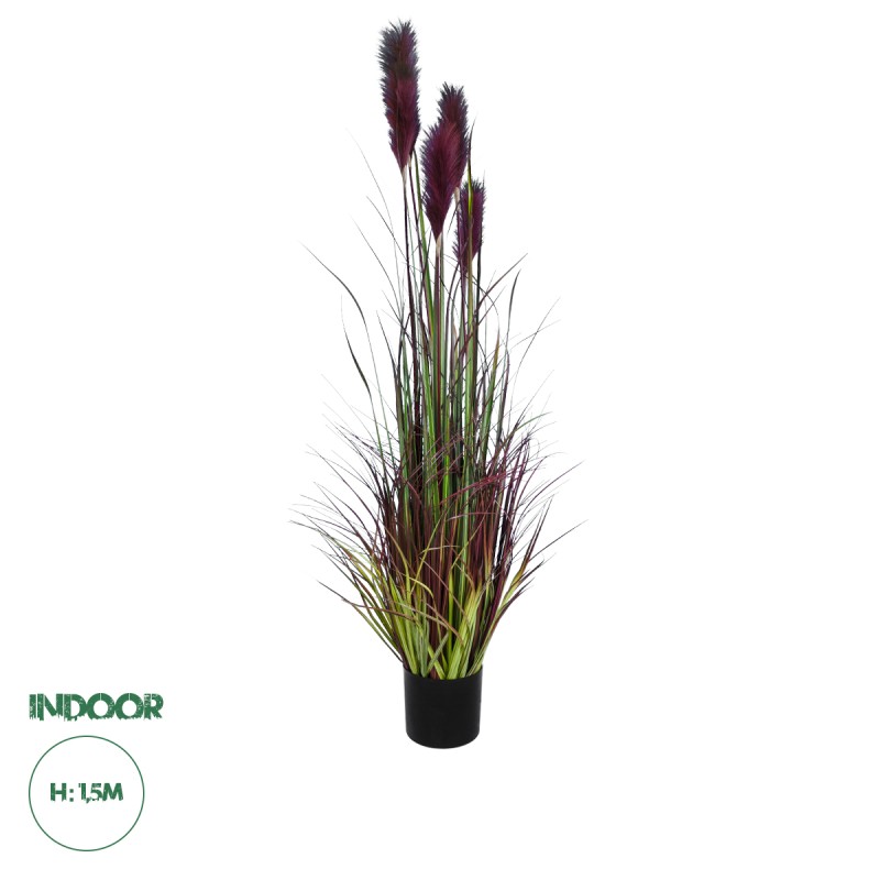 GloboStar® Artificial Garden BLOODY PAMPAS GRASS 20110 Τεχνητό Διακοσμητικό Φυτό Αιματόφυλλο Γρασίδι της Πάμπας Υ150cm GloboStar® Artificial Garden BLOODY PAMPAS GRASS 20110 Τεχνητό Διακοσμητικό Φυτό Αιματόφυλλο Γρασίδι της Πάμπας Υ150cm