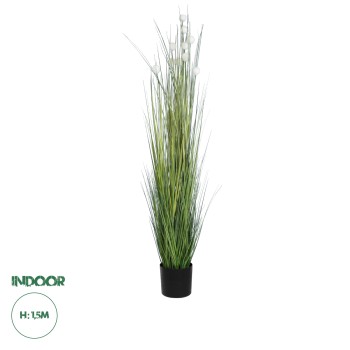 GloboStar® Artificial Garden LAGURUS GRASS 20111 Τεχνητό Διακοσμητικό Φυτό Λαγοουρά Υ150cm GloboStar® Artificial Garden LAGURUS GRASS 20111 Τεχνητό Διακοσμητικό Φυτό Λαγοουρά Υ150cm
