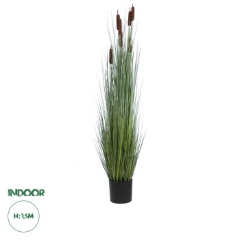 GloboStar® Artificial Garden TYPHA ANGUSTIFOLIA GRASS 20113 Τεχνητό Διακοσμητικό Φυτό Γρασίδι της Τύφας Υ150cm GloboStar® Artificial Garden TYPHA ANGUSTIFOLIA GRASS 20113 Τεχνητό Διακοσμητικό Φυτό Γρασίδι της Τύφας Υ150cm