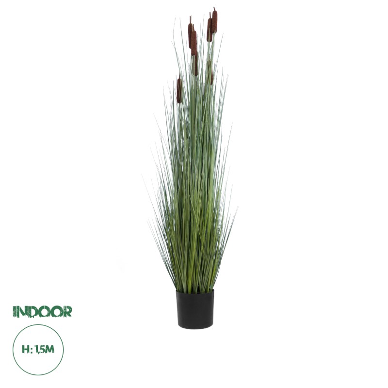 GloboStar® Artificial Garden TYPHA ANGUSTIFOLIA GRASS 20113 Τεχνητό Διακοσμητικό Φυτό Γρασίδι της Τύφας Υ150cm GloboStar® Artificial Garden TYPHA ANGUSTIFOLIA GRASS 20113 Τεχνητό Διακοσμητικό Φυτό Γρασίδι της Τύφας Υ150cm