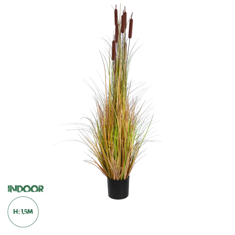 GloboStar® Artificial Garden TYPHA ANGUSTIFOLIA GRASS 20114 Τεχνητό Διακοσμητικό Φυτό Γρασίδι της Τύφας Υ150cm GloboStar® Artificial Garden TYPHA ANGUSTIFOLIA GRASS 20114 Τεχνητό Διακοσμητικό Φυτό Γρασίδι της Τύφας Υ150cm
