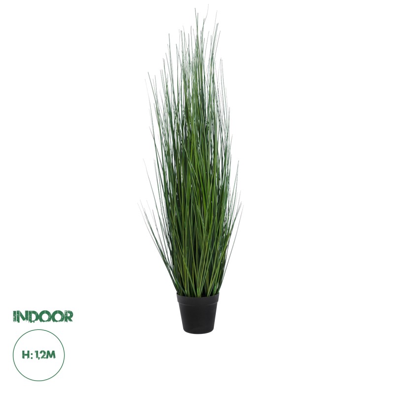 GloboStar® Artificial Garden MISCANTHUS SINENSIS 20116 Τεχνητό Διακοσμητικό Φυτό Μίσχανθος Υ120cm GloboStar® Artificial Garden MISCANTHUS SINENSIS 20116 Τεχνητό Διακοσμητικό Φυτό Μίσχανθος Υ120cm