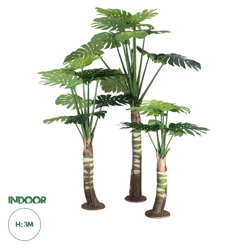 GloboStar® Artificial Garden MONSTERA SET 20090 - Τεχνητό Διακοσμητικό Σετ Φυτών Μονστέρα A:Υ300cm B:Υ200cm C:Υ150cm GloboStar® Artificial Garden MONSTERA SET 20090 - Τεχνητό Διακοσμητικό Σετ Φυτών Μονστέρα A:Υ300cm B:Υ200cm C:Υ150cm
