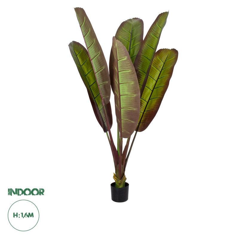 GloboStar® Artificial Garden BLOODY BANANA TREE 20117 - Τεχνητό Διακοσμητικό Φυτό Αιματόφυλλη Μπανανιά - Μπανανόδεντρο Υ160cm GloboStar® Artificial Garden BLOODY BANANA TREE 20117 - Τεχνητό Διακοσμητικό Φυτό Αιματόφυλλη Μπανανιά - Μπανανόδεντρο Υ160cm