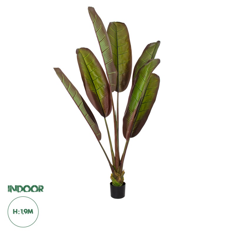 GloboStar® Artificial Garden BLOODY BANANA TREE 20118 - Τεχνητό Διακοσμητικό Φυτό Αιματόφυλλη Μπανανιά - Μπανανόδεντρο Υ190cm GloboStar® Artificial Garden BLOODY BANANA TREE 20118 - Τεχνητό Διακοσμητικό Φυτό Αιματόφυλλη Μπανανιά - Μπανανόδεντρο Υ190cm