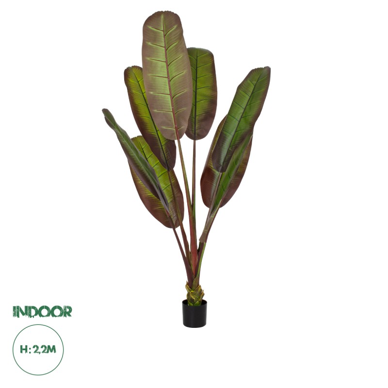 GloboStar® Artificial Garden BLOODY BANANA TREE 20119 - Τεχνητό Διακοσμητικό Φυτό Αιματόφυλλη Μπανανιά - Μπανανόδεντρο Υ220cm GloboStar® Artificial Garden BLOODY BANANA TREE 20119 - Τεχνητό Διακοσμητικό Φυτό Αιματόφυλλη Μπανανιά - Μπανανόδεντρο Υ220cm