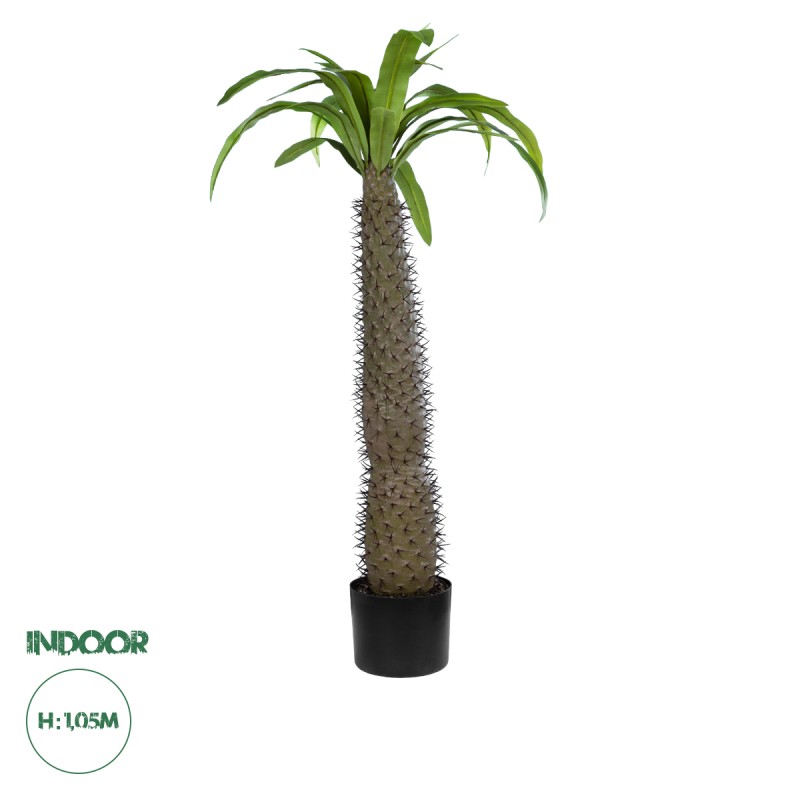 GloboStar® Artificial Garden PACHYPODIUM LAMEREI PALM TREE 20129 Τεχνητό Διακοσμητικό Φυτό Φοίνικας της Μαγαδασκάρης Υ105cm GloboStar® Artificial Garden PACHYPODIUM LAMEREI PALM TREE 20129 Τεχνητό Διακοσμητικό Φυτό Φοίνικας της Μαγαδασκάρης Υ105cm