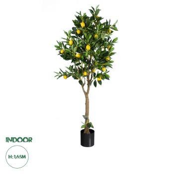 GloboStar® Artificial Garden LEMON TREE 20214 Τεχνητό Διακοσμητικό Δέντρο Λεμονιά Υ165cm GloboStar® Artificial Garden LEMON TREE 20214 Τεχνητό Διακοσμητικό Δέντρο Λεμονιά Υ165cm