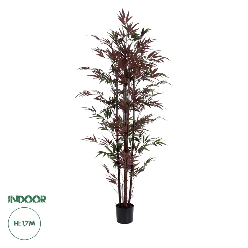GloboStar® Artificial Garden BLOODLEAF BAMBOO 20039 Τεχνητό Διακοσμητικό Φυτό Αιματόφυλλο Μπαμπού Υ170cm GloboStar® Artificial Garden BLOODLEAF BAMBOO 20039 Τεχνητό Διακοσμητικό Φυτό Αιματόφυλλο Μπαμπού Υ170cm