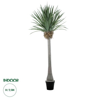 GloboStar® Artificial Garden BEAUCARNEA PALM TREE 20048 Τεχνητό Διακοσμητικό Φυτό Κυρτόφυλλος Μπουκαρνέα Υ250cm GloboStar® Artificial Garden BEAUCARNEA PALM TREE 20048 Τεχνητό Διακοσμητικό Φυτό Κυρτόφυλλος Μπουκαρνέα Υ250cm