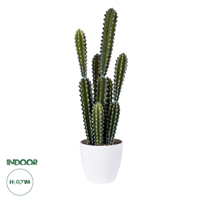 GloboStar® Artificial Garden CEREUS JAMACARU CACTUS 20095 Τεχνητό Διακοσμητικό Φυτό Κάκτος Κηρίος Υ71cm GloboStar® Artificial Garden CEREUS JAMACARU CACTUS 20095 Τεχνητό Διακοσμητικό Φυτό Κάκτος Κηρίος Υ71cm