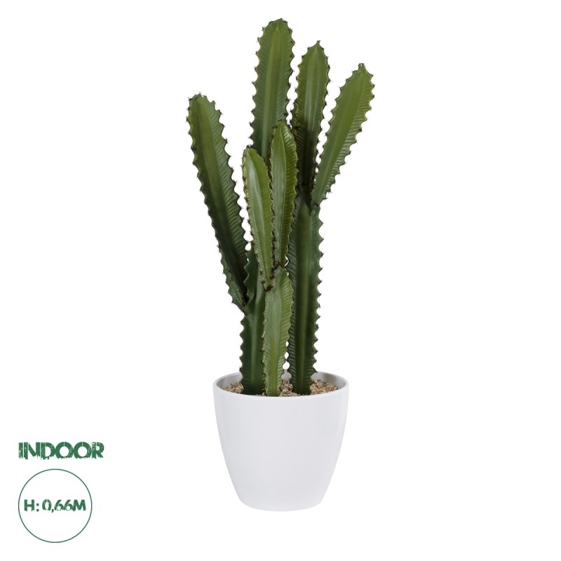 GloboStar® Artificial Garden CEREUS JAMACARU CACTUS 20099 Τεχνητό Διακοσμητικό Φυτό Κάκτος Κηρίος Υ66cm GloboStar® Artificial Garden CEREUS JAMACARU CACTUS 20099 Τεχνητό Διακοσμητικό Φυτό Κάκτος Κηρίος Υ66cm