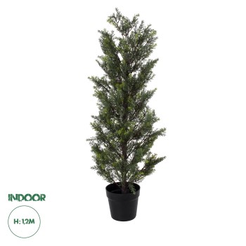 GloboStar® Artificial Garden LEMON CYPRESS 20151 Τεχνητό Διακοσμητικό Φυτό Λεμονόκυπάρισσο Υ120cm GloboStar® Artificial Garden LEMON CYPRESS 20151 Τεχνητό Διακοσμητικό Φυτό Λεμονόκυπάρισσο Υ120cm