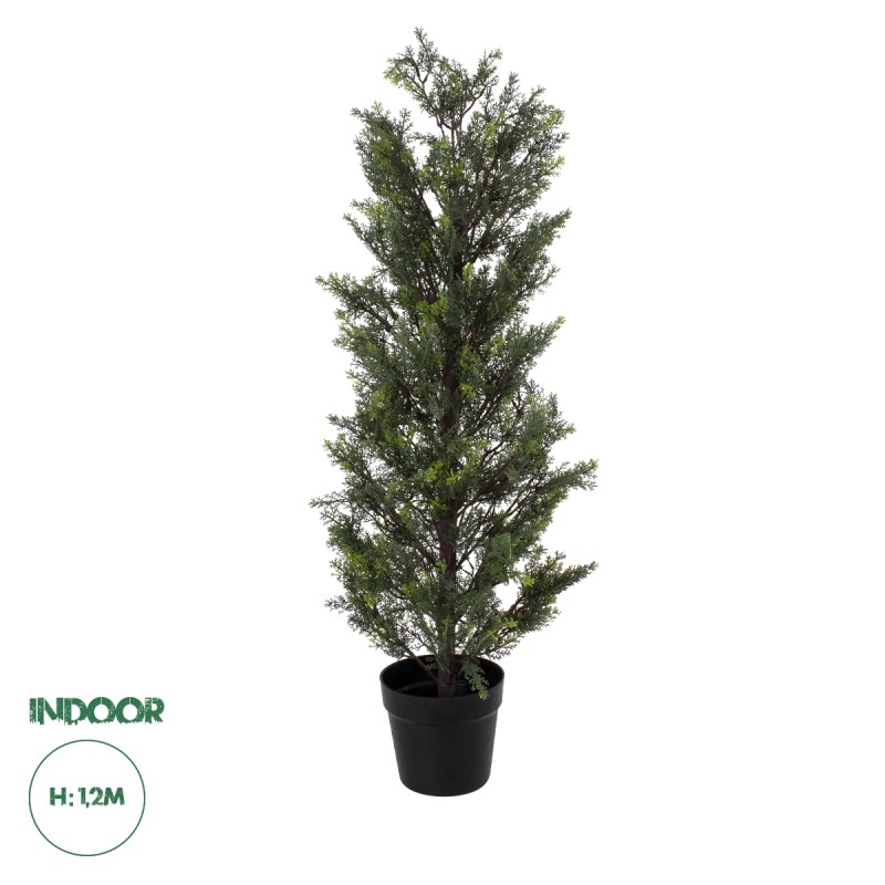 GloboStar® Artificial Garden LEMON CYPRESS 20151 Τεχνητό Διακοσμητικό Φυτό Λεμονόκυπάρισσο Υ120cm GloboStar® Artificial Garden LEMON CYPRESS 20151 Τεχνητό Διακοσμητικό Φυτό Λεμονόκυπάρισσο Υ120cm