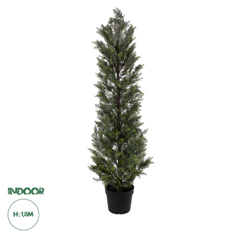 GloboStar® Artificial Garden LEMON CYPRESS 20153 Τεχνητό Διακοσμητικό Φυτό Λεμονόκυπάρισσο Υ180cm GloboStar® Artificial Garden LEMON CYPRESS 20153 Τεχνητό Διακοσμητικό Φυτό Λεμονόκυπάρισσο Υ180cm