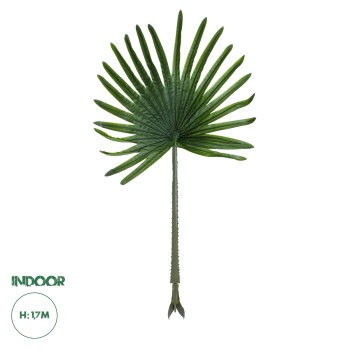 GloboStar® Artificial Garden SERENOA PALM LEAF 20174 Τεχνητό Διακοσμητικό Φύλο Φοινικόδεντρου Σερενόα Βεντάλια Π90 x Υ170cm GloboStar® Artificial Garden SERENOA PALM LEAF 20174 Τεχνητό Διακοσμητικό Φύλο Φοινικόδεντρου Σερενόα Βεντάλια Π90 x Υ170cm