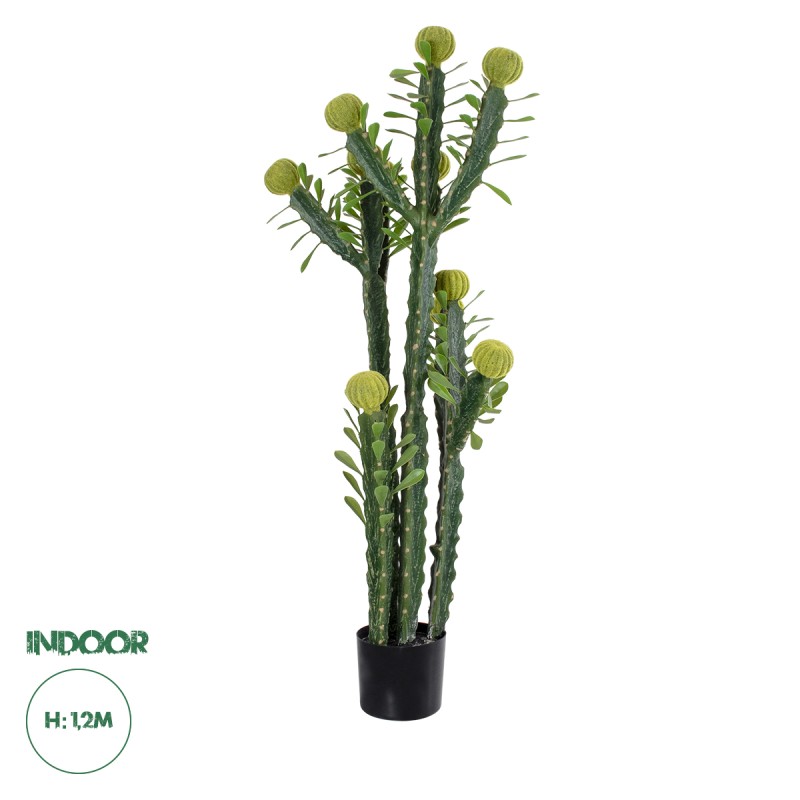 GloboStar® Artificial Garden CEREUS JAMACARU CACTUS 20193 Τεχνητό Διακοσμητικό Φυτό Κάκτος Κηρίος Υ120cm GloboStar® Artificial Garden CEREUS JAMACARU CACTUS 20193 Τεχνητό Διακοσμητικό Φυτό Κάκτος Κηρίος Υ120cm