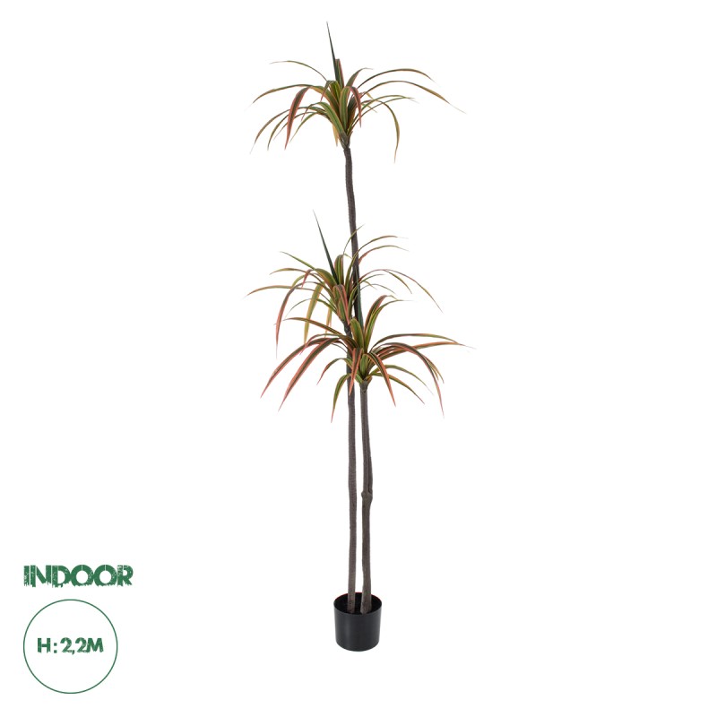GloboStar® Artificial Garden DRAGON BLOOD TREE 20371 - Τεχνητό Διακοσμητικό Φυτό Δράκαινα Υ220cm GloboStar® Artificial Garden DRAGON BLOOD TREE 20371 - Τεχνητό Διακοσμητικό Φυτό Δράκαινα Υ220cm