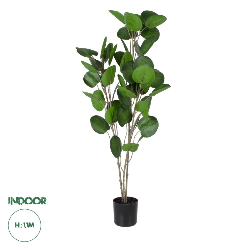 GloboStar® Artificial Garden POLYSCIAS BALFOURIANA TREE 20374 Τεχνητό Διακοσμητικό Φυτό Πολυσκιά Υ110cm GloboStar® Artificial Garden POLYSCIAS BALFOURIANA TREE 20374 Τεχνητό Διακοσμητικό Φυτό Πολυσκιά Υ110cm