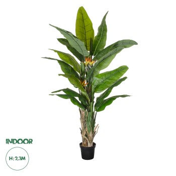 GloboStar® Artificial Garden BANANA STRELITZIA REGINAE 20381 - Τεχνητό Διακοσμητικό Φυτό  Μπανανιά - Στρελίτσια - Πουλί του Παραδείσου Υ230cm GloboStar® Artificial Garden BANANA STRELITZIA REGINAE 20381 - Τεχνητό Διακοσμητικό Φυτό  Μπανανιά - Στρελίτσια - Πουλί του Παραδείσου Υ230cm