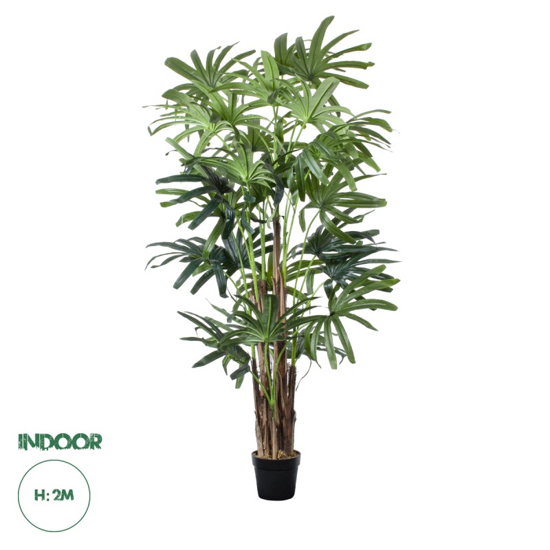 GloboStar® Artificial Garden BROADLEAF LADY PALM TREE 20385 Τεχνητό Διακοσμητικό Φυτό Πλατύφυλλος Φοίνικας Μπαμπού Υ200cm GloboStar® Artificial Garden BROADLEAF LADY PALM TREE 20385 Τεχνητό Διακοσμητικό Φυτό Πλατύφυλλος Φοίνικας Μπαμπού Υ200cm