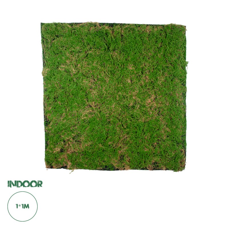 GloboStar® Artificial Garden BRYOPHYTA 20144 Τεχνητό Διακοσμητικό Πάνελ Φυλλωσιάς - Κάθετος Κήπος Βρύα Μ100 x Π100 x Υ3cm GloboStar® Artificial Garden BRYOPHYTA 20144 Τεχνητό Διακοσμητικό Πάνελ Φυλλωσιάς - Κάθετος Κήπος Βρύα Μ100 x Π100 x Υ3cm