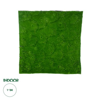 GloboStar® Artificial Garden BRYOPHYTA 20145 Τεχνητό Διακοσμητικό Πάνελ Φυλλωσιάς - Κάθετος Κήπος Βρύα Μ100 x Π100 x Υ3cm GloboStar® Artificial Garden BRYOPHYTA 20145 Τεχνητό Διακοσμητικό Πάνελ Φυλλωσιάς - Κάθετος Κήπος Βρύα Μ100 x Π100 x Υ3cm