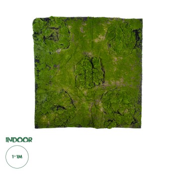 GloboStar® Artificial Garden BRYOPHYTA 20148 Τεχνητό Διακοσμητικό Πάνελ Φυλλωσιάς - Κάθετος Κήπος Βρύα Μ100 x Π100 x Υ4cm GloboStar® Artificial Garden BRYOPHYTA 20148 Τεχνητό Διακοσμητικό Πάνελ Φυλλωσιάς - Κάθετος Κήπος Βρύα Μ100 x Π100 x Υ4cm