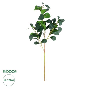 GloboStar® Artificial Garden LAURUS NOBILIS BRANCH 20224 Τεχνητό Διακοσμητικό Κλαδί Δάφνης Π35 x Υ70cm GloboStar® Artificial Garden LAURUS NOBILIS BRANCH 20224 Τεχνητό Διακοσμητικό Κλαδί Δάφνης Π35 x Υ70cm