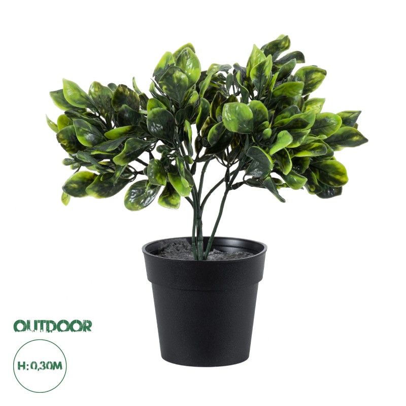 GloboStar® Artificial Garden ANUBIA BARTERI 20390 Τεχνητό Διακοσμητικό Φυτό Ανούμπια Υ30cm GloboStar® Artificial Garden ANUBIA BARTERI 20390 Τεχνητό Διακοσμητικό Φυτό Ανούμπια Υ30cm