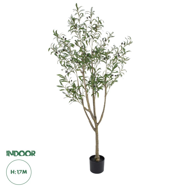 GloboStar® Artificial Garden OLIVE TREE 20423 Τεχνητό Διακοσμητικό Δέντρο Ελιά Υ170cm GloboStar® Artificial Garden OLIVE TREE 20423 Τεχνητό Διακοσμητικό Δέντρο Ελιά Υ170cm