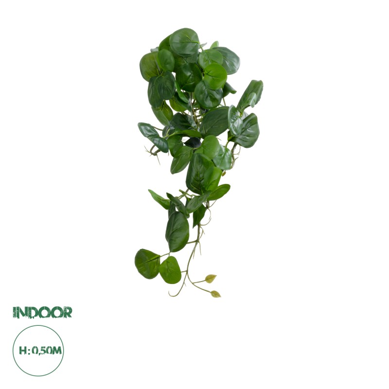 GloboStar® Artificial Garden HANGING PEPEROMIA 20599 Τεχνητό Διακοσμητικό Κρεμαστό Φυτό Πεπερόμια Μ30 x Π31 x Υ50cm GloboStar® Artificial Garden HANGING PEPEROMIA 20599 Τεχνητό Διακοσμητικό Κρεμαστό Φυτό Πεπερόμια Μ30 x Π31 x Υ50cm
