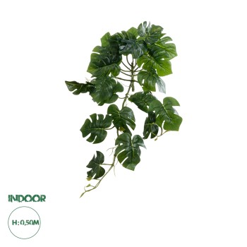 GloboStar® Artificial Garden HANGING MONSTERA 20600 - Τεχνητό Διακοσμητικό Κρεμαστό Φυτό Μονστέρα Μ28 x Π30 x Υ50cm GloboStar® Artificial Garden HANGING MONSTERA 20600 - Τεχνητό Διακοσμητικό Κρεμαστό Φυτό Μονστέρα Μ28 x Π30 x Υ50cm