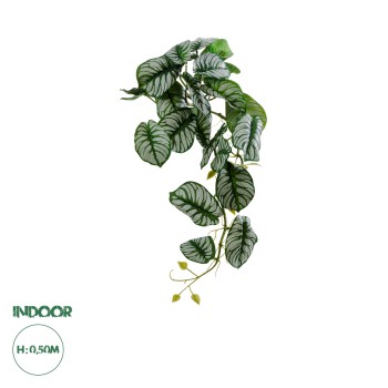 GloboStar® Artificial Garden HANGING ALOCASIA 20601 Τεχνητό Διακοσμητικό Κρεμαστό Φυτό Αλοκάσια Μ28 x Π27 x Υ50cm GloboStar® Artificial Garden HANGING ALOCASIA 20601 Τεχνητό Διακοσμητικό Κρεμαστό Φυτό Αλοκάσια Μ28 x Π27 x Υ50cm