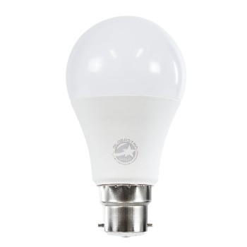 GLOBOSTAR® GLOBE 60051 Λάμπα B22 A60 LED 10W 1000lm 260° AC 220-240V IP20 Ψυχρό Λευκό 6000K - Lumileds SMD Chip - Λευκό Γαλακτερό - Μ6 x Π6 x Υ11cm - 3 Χρόνια Εγγύηση GLOBOSTAR® GLOBE 60051 Λάμπα B22 A60 LED 10W 1000lm 260° AC 220-240V IP20 Ψυχρό Λευκό 6000K - Lumileds SMD Chip - Λευκό Γαλακτερό - Μ6 x Π6 x Υ11cm - 3 Χρόνια Εγγύηση
