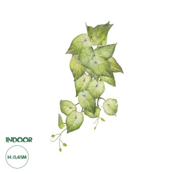 GloboStar® Artificial Garden SYNGONIUM HANGING PLANT 20598 Τεχνητό Διακοσμητικό Κρεμαστό Φυτό Συγκόνιο Υ50cm GloboStar® Artificial Garden SYNGONIUM HANGING PLANT 20598 Τεχνητό Διακοσμητικό Κρεμαστό Φυτό Συγκόνιο Υ50cm