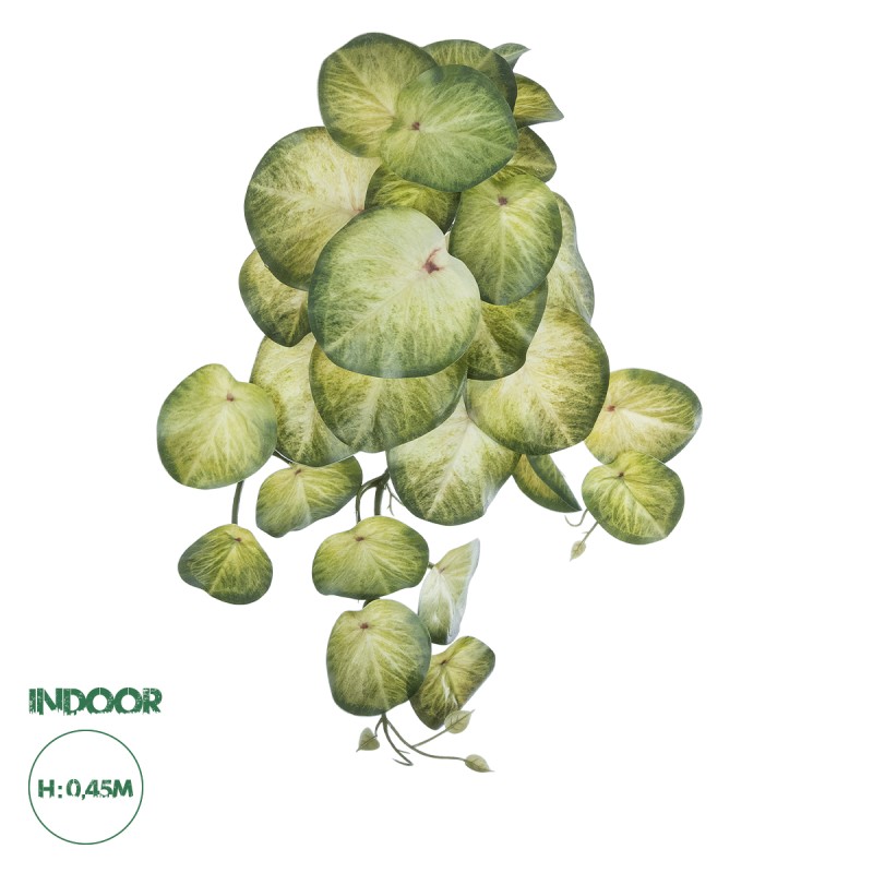 GloboStar® Artificial Garden SYNGONIUM HANGING PLANT 20607 Τεχνητό Διακοσμητικό Κρεμαστό Φυτό Συγκόνιο Υ45cm GloboStar® Artificial Garden SYNGONIUM HANGING PLANT 20607 Τεχνητό Διακοσμητικό Κρεμαστό Φυτό Συγκόνιο Υ45cm