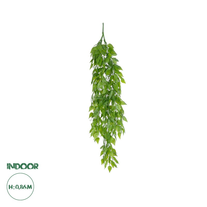 GloboStar® Artificial Garden HANGING LIMA BEAN 20845 Τεχνητό Διακοσμητικό Κρεμαστό Φυτό Φασόλι Λίμα Μ29 x Π10 x Υ86cm GloboStar® Artificial Garden HANGING LIMA BEAN 20845 Τεχνητό Διακοσμητικό Κρεμαστό Φυτό Φασόλι Λίμα Μ29 x Π10 x Υ86cm