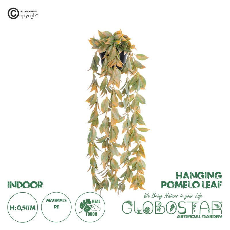 GloboStar® Artificial Garden HANGING POMELO LEAF 20871 - Τεχνητό Κρεμαστό Διακοσμητικό Φυτό Φύλλο Πομέλο  Φ17 x Y50cm GloboStar® Artificial Garden HANGING POMELO LEAF 20871 - Τεχνητό Κρεμαστό Διακοσμητικό Φυτό Φύλλο Πομέλο  Φ17 x Y50cm